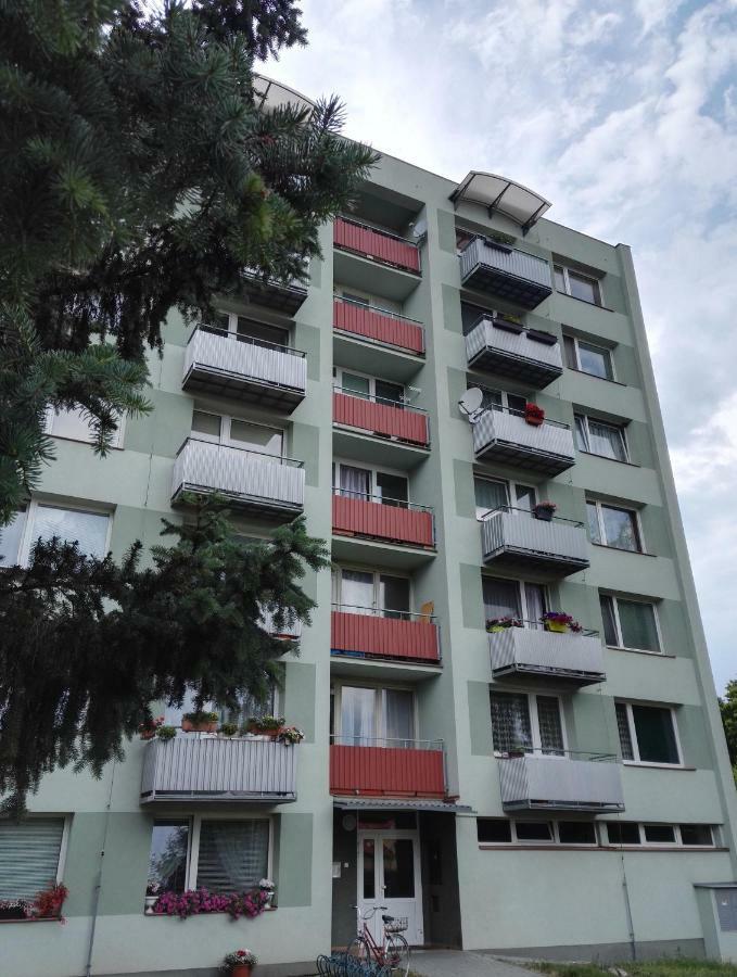 Apartman-Trebon-Centrum Kültér fotó